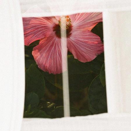 MorMor - Pass The Hours - Zortam Music