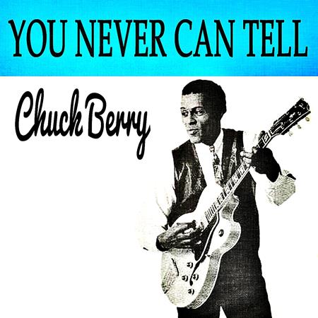 Chuck Berry - Chuck Berry - Rock And Roll Music - Any Old Way You Choose It - CD10 - Studio 1973-1974 - Zortam Music