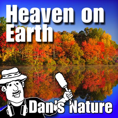 Nature - Sounds of the Earth - Zortam Music