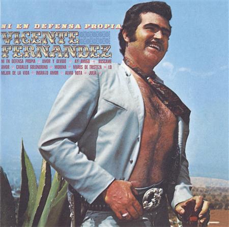 Vicente Fernandez - Ingrato Amor Lyrics - Zortam Music