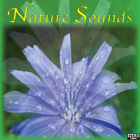Nature Sounds - Ocean Lyrics - Zortam Music