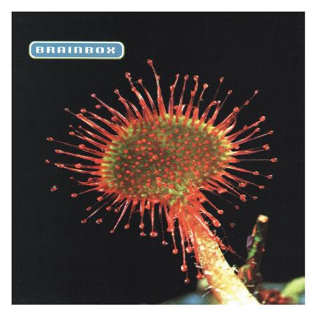 Brainbox - Primordia [Musikkassette] - Zortam Music