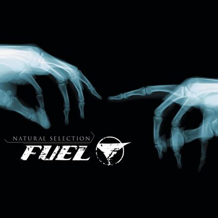 Fuel - Greatest - Zortam Music