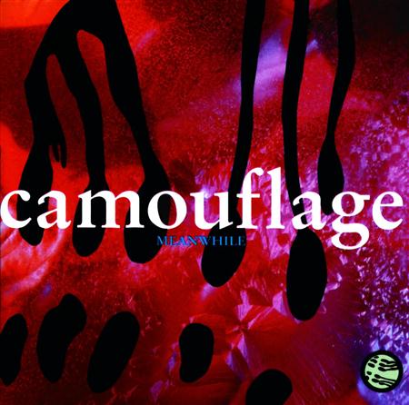 Camouflage - Meanwhile (RM) - Zortam Music
