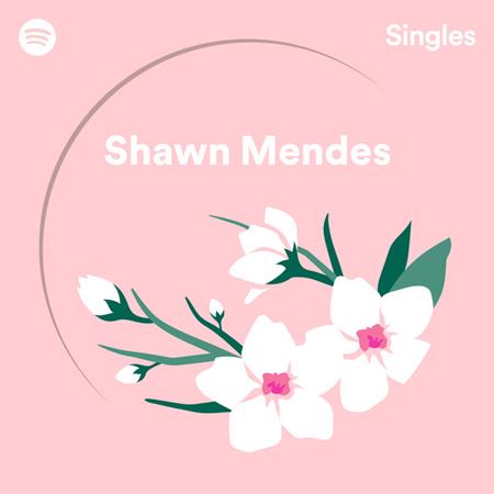 Shawn Mendes - Use Somebody - Recorded at Spotify Studios NYC Lyrics - Zortam Music