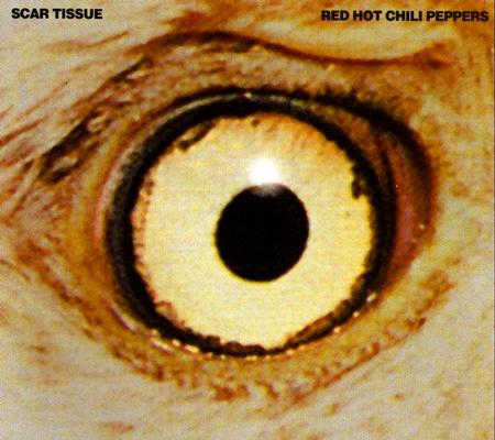 Red Hot Chilli Peppers - Scar Tissue - Zortam Music