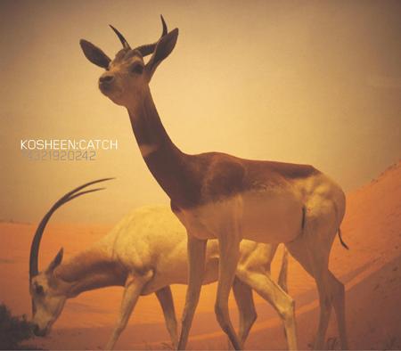 Kosheen - Catch (12