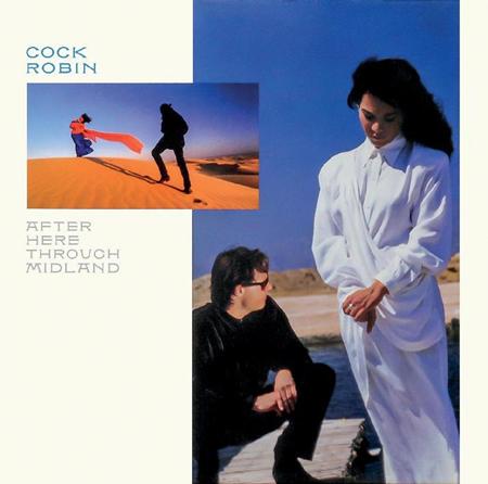 Cock Robin - The Biggest Fool Of All (dance Mix).dts Lyrics - Zortam Music