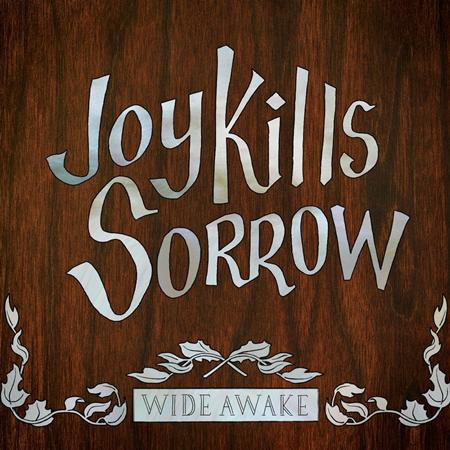 Joy Kills Sorrow - Wide Awake - Zortam Music