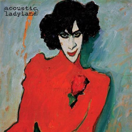 Acoustic Ladyland - Skinny Grin - Zortam Music