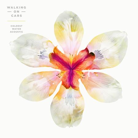 Walking On Cars - Coldest Water - Zortam Music