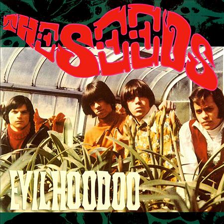 The Seeds - Evil Hoodoo - Zortam Music