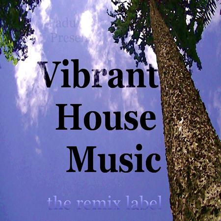 1st Class - Vibrant Housemusic - Zortam Music