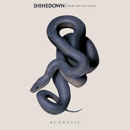 SHINEDOWN - How Did You Love? (remixes) - Zortam Music