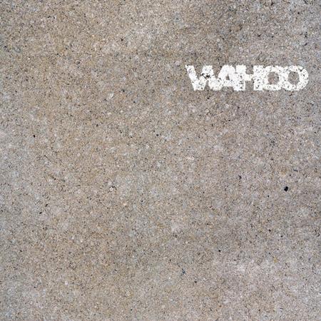 Wahoo - Take Over Me / Make 