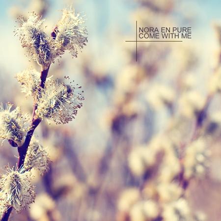 Nora En Pure - Come With Me - Zortam Music