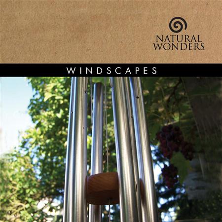David Arkenstone - Windscapes - Zortam Music