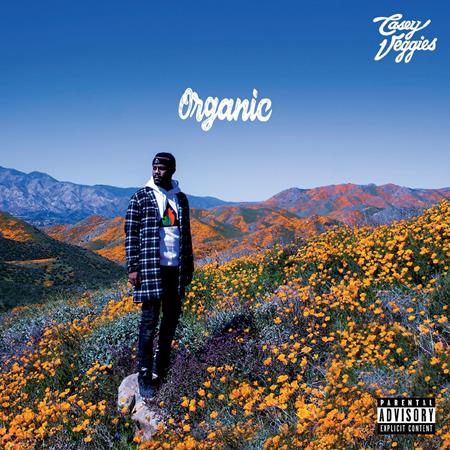 Casey Veggies - Organic - Zortam Music