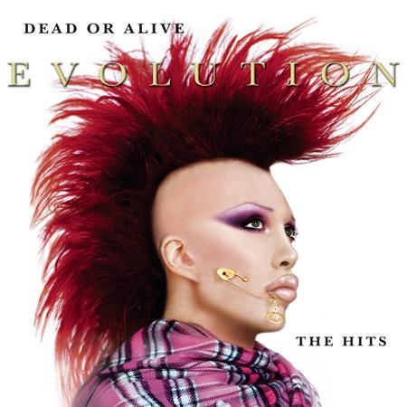 Dead Or Alive - Evolution Greatest Hits - Zortam Music