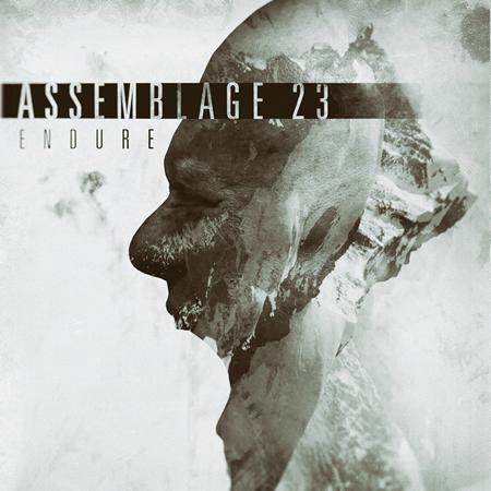 Assemblage 23 - Call The Dawn Lyrics - Zortam Music