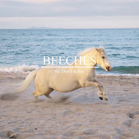 Beeches - We Don