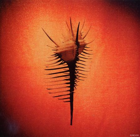 NERD - Remixes Chapter 1 - Zortam Music