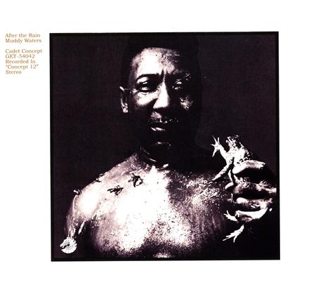 Muddy Waters - SCREAMIN