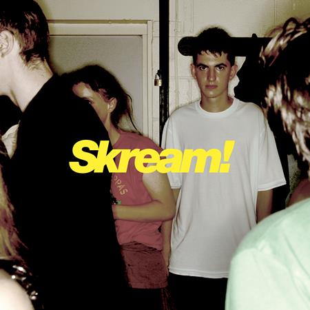 Skream - Skream! (3X12