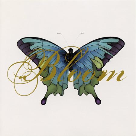 Mclachlan, Sarah - Unknown Album (20061224 071316 PM) - Zortam Music