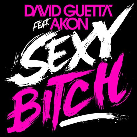 David Guetta feat. Akon - Sexy Bitch (Afrojack mix) Lyrics - Zortam Music