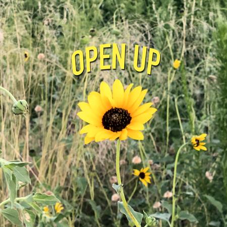 Cryptic Wisdom - Open Up - Zortam Music