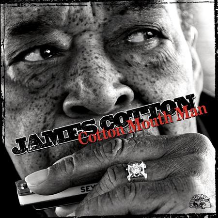 James Cotton - Bird Nest On The Ground Lyrics - Zortam Music