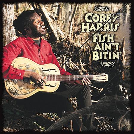 Corey Harris - Sick Blues - 20 Rare Blues Tracks - Zortam Music