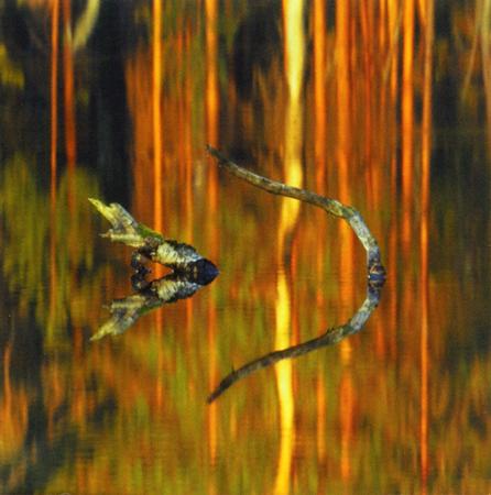 Loituma - Loituma - Ieva