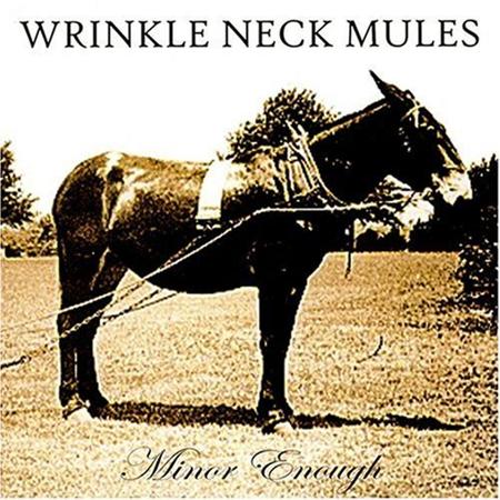 Wrinkle Neck Mules - No Consolation Lyrics - Zortam Music
