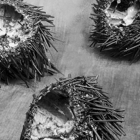 0 - Uni - Zortam Music