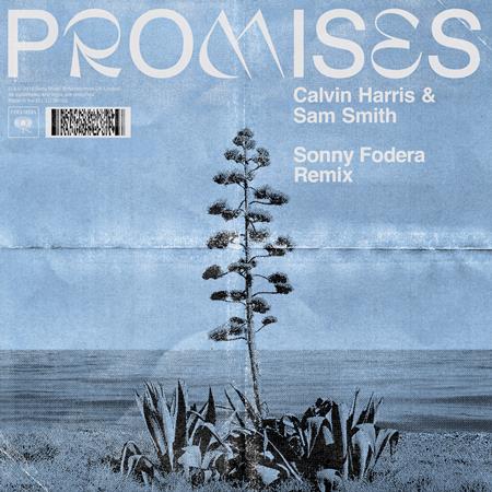 Calvin Harris & Sam Smith - Promises - Zortam Music