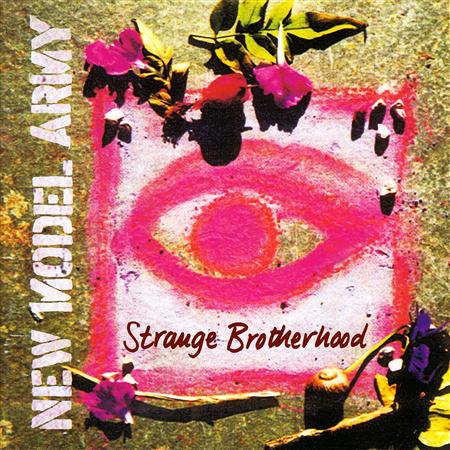 New Model Army - 01 Queen Of My Heart Lyrics - Zortam Music