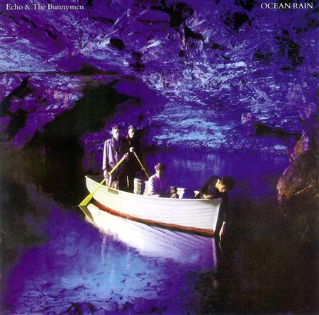 Echo & the Bunnymen - The Collection - Zortam Music