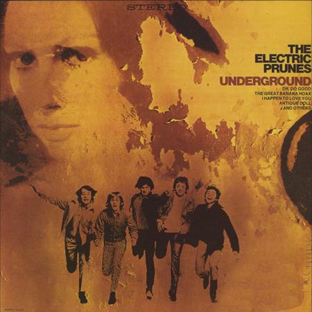 The Electric Prunes - Everybody Knows You