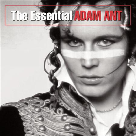 ADAM ANT - 05 Room At The Top Lyrics - Zortam Music