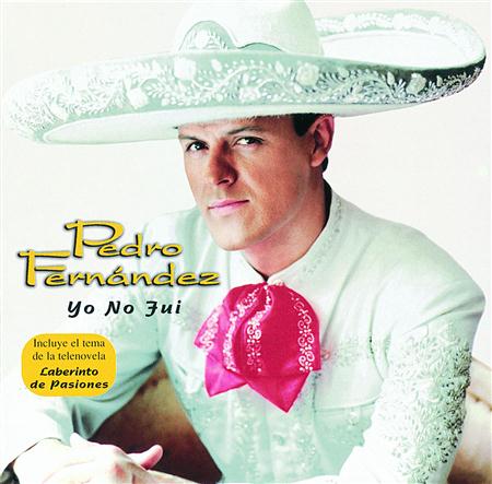 Pedro Fernandez - SIN VERTE Lyrics - Zortam Music