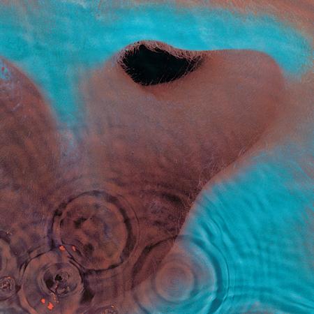 Pink Floyd - Oh By The Way (disc 7 Meddle) - Zortam Music Pink Floyd - Oh By The Way (disc 7 Meddle) - Zortam Music