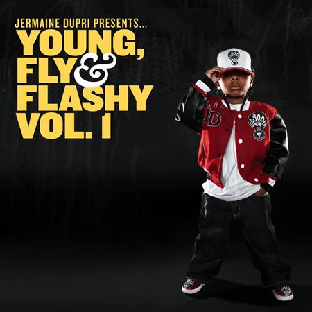 Dem Franchize Boyz - Young, Fly & Flashy Vol. 1 - Zortam Music