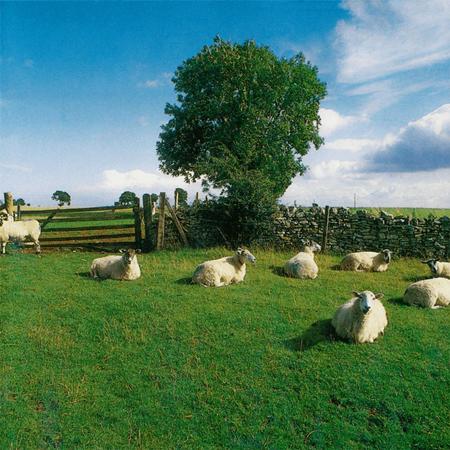 The Klf - Rare Tracks - Zortam Music