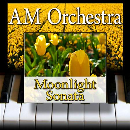 Ludwig van Beethoven - Moonlight Sonata (Midnight Concerto CD 2/10) - Zortam Music