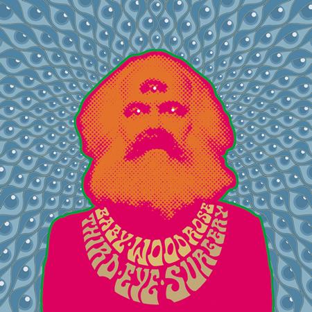 Baby Woodrose - Third Eye Surgery - Zortam Music