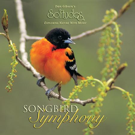 Dan Gibson - SongBird Symphony - Zortam Music