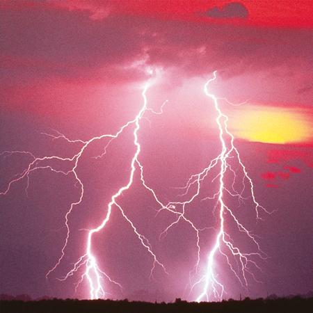 Thy Serpent - Calm Blinking Lyrics - Zortam Music