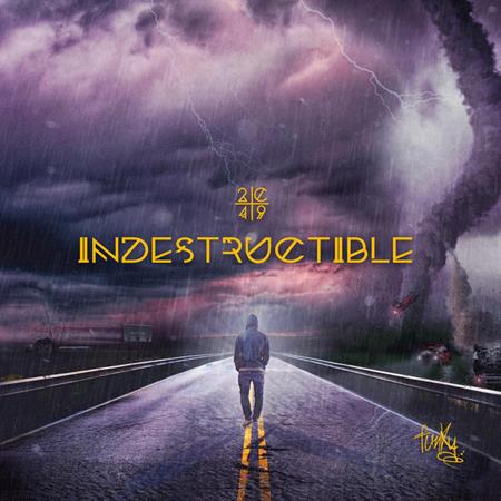 Funky - Indestructible - Zortam Music